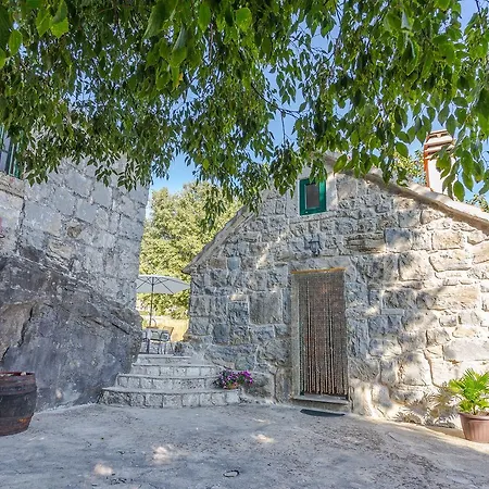 House Gordana Gata